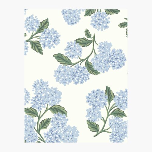 Hydrangea Wallpaper Sample - Blue & White