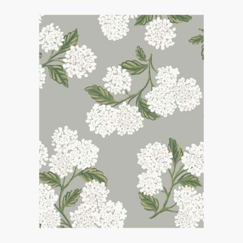 Hydrangea Wallpaper Sample - Grey