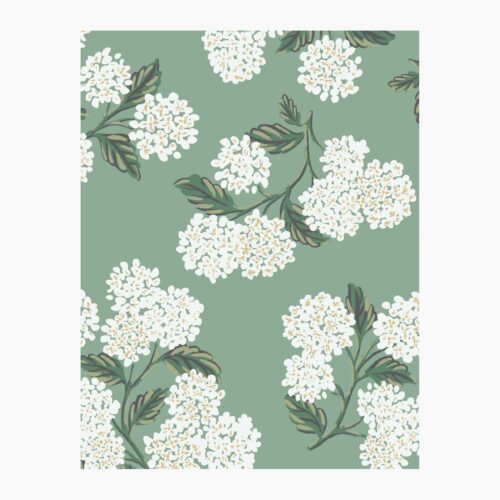 Hydrangea Wallpaper Sample - Jade