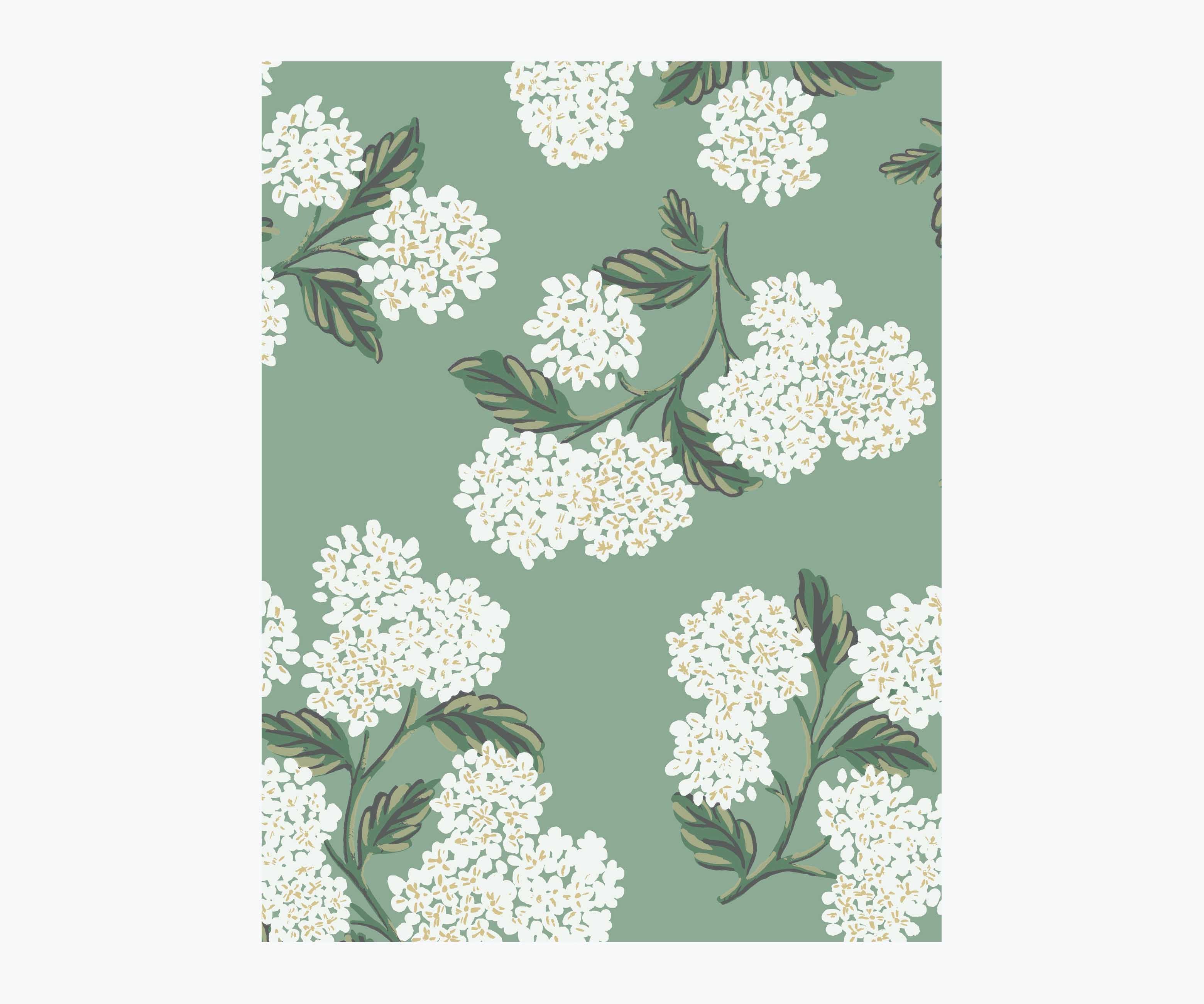 Hydrangea Wallpaper Sample - Jade