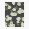 Hydrangea Wallpaper Sample - Black & White