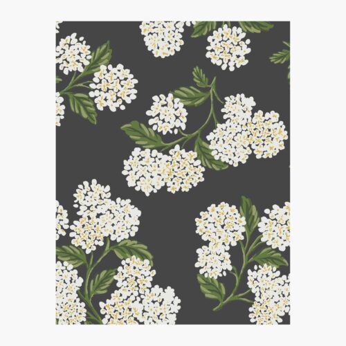Hydrangea Wallpaper Sample - Black & White