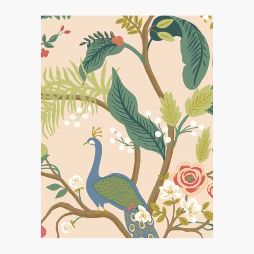 Peacock Wallpaper Sample - Blush