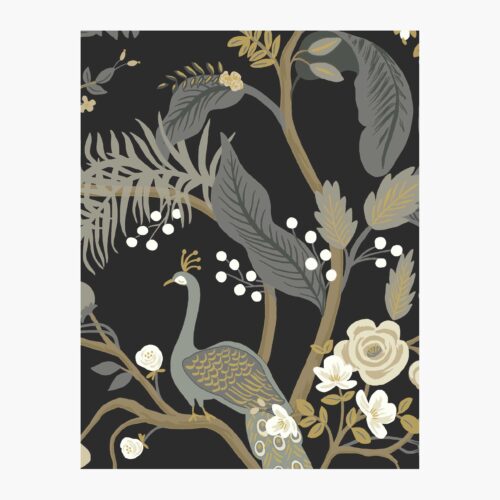 Peacock Wallpaper Sample - Black