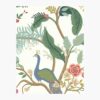 Peacock Wallpaper Sample - Rouge
