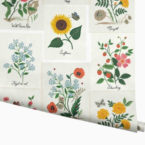 Botanical Prints Wallpaper - White