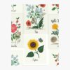 Botanical Prints Wallpaper Sample - White