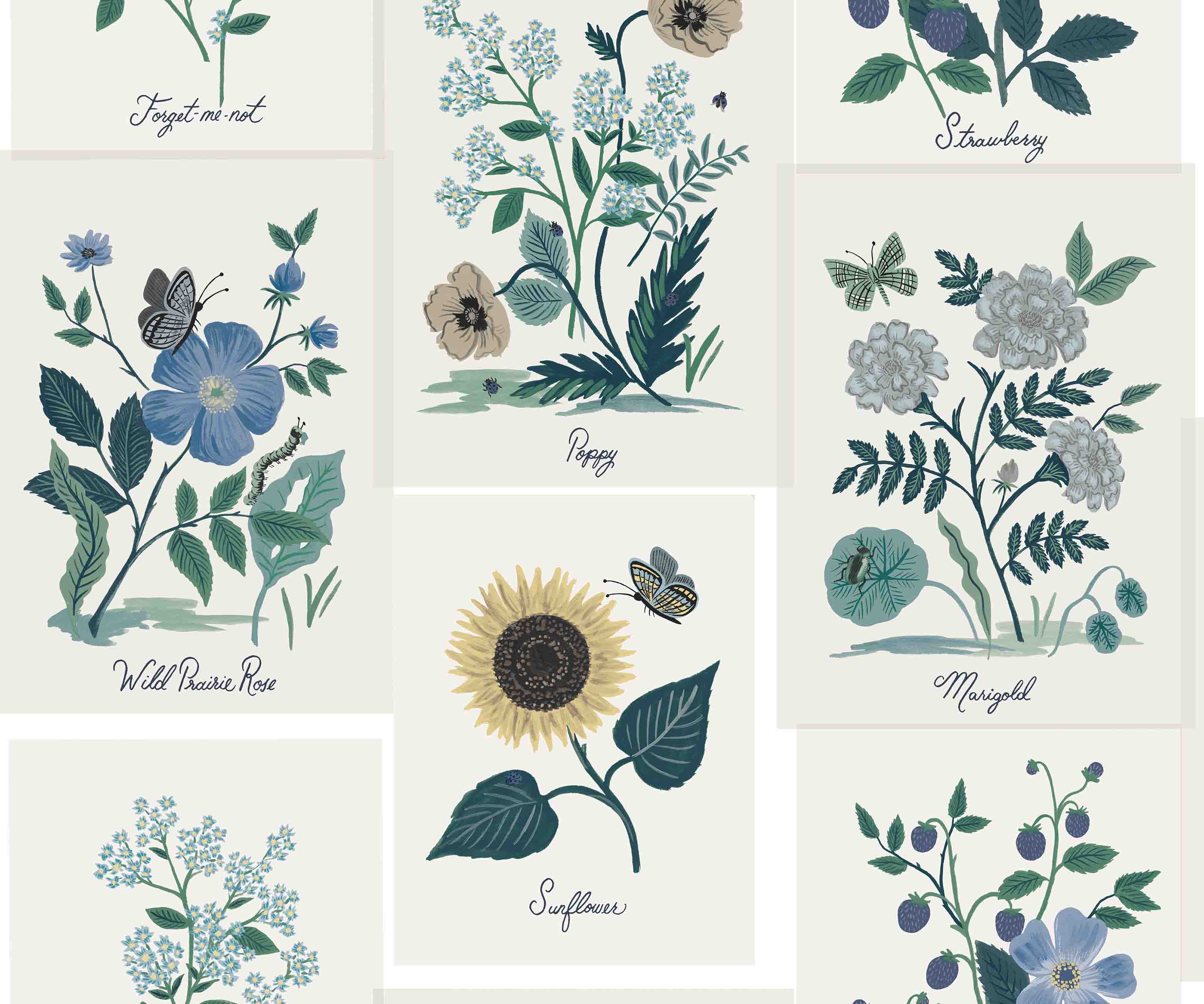 Botanical Prints Wallpaper - Indigo - Image 3