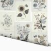 Botanical Prints Wallpaper - Linen
