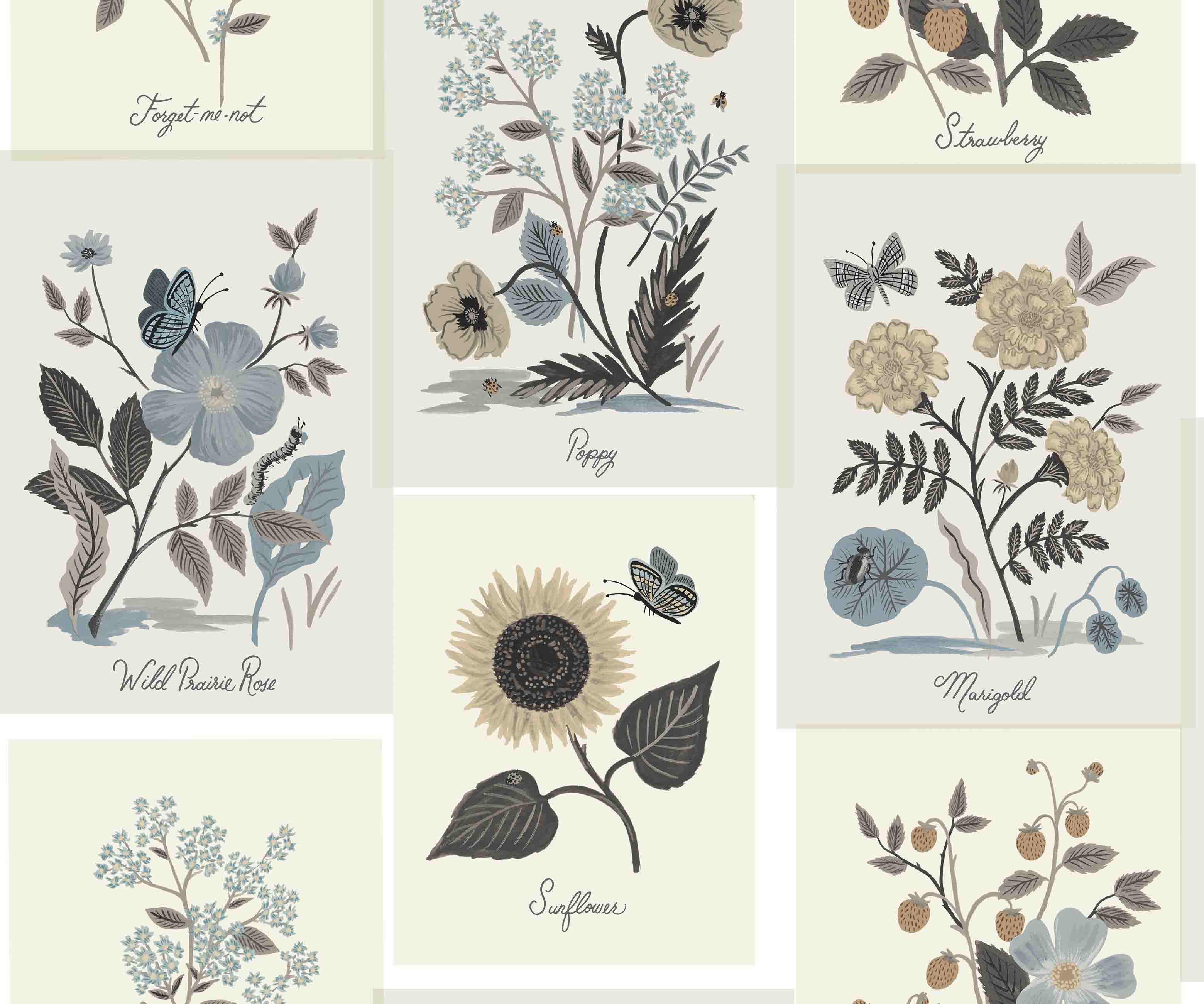 Botanical Prints Wallpaper - Linen - Image 3