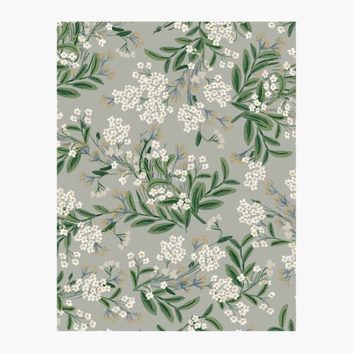 Cornflower Wallpaper Sample - Grey
