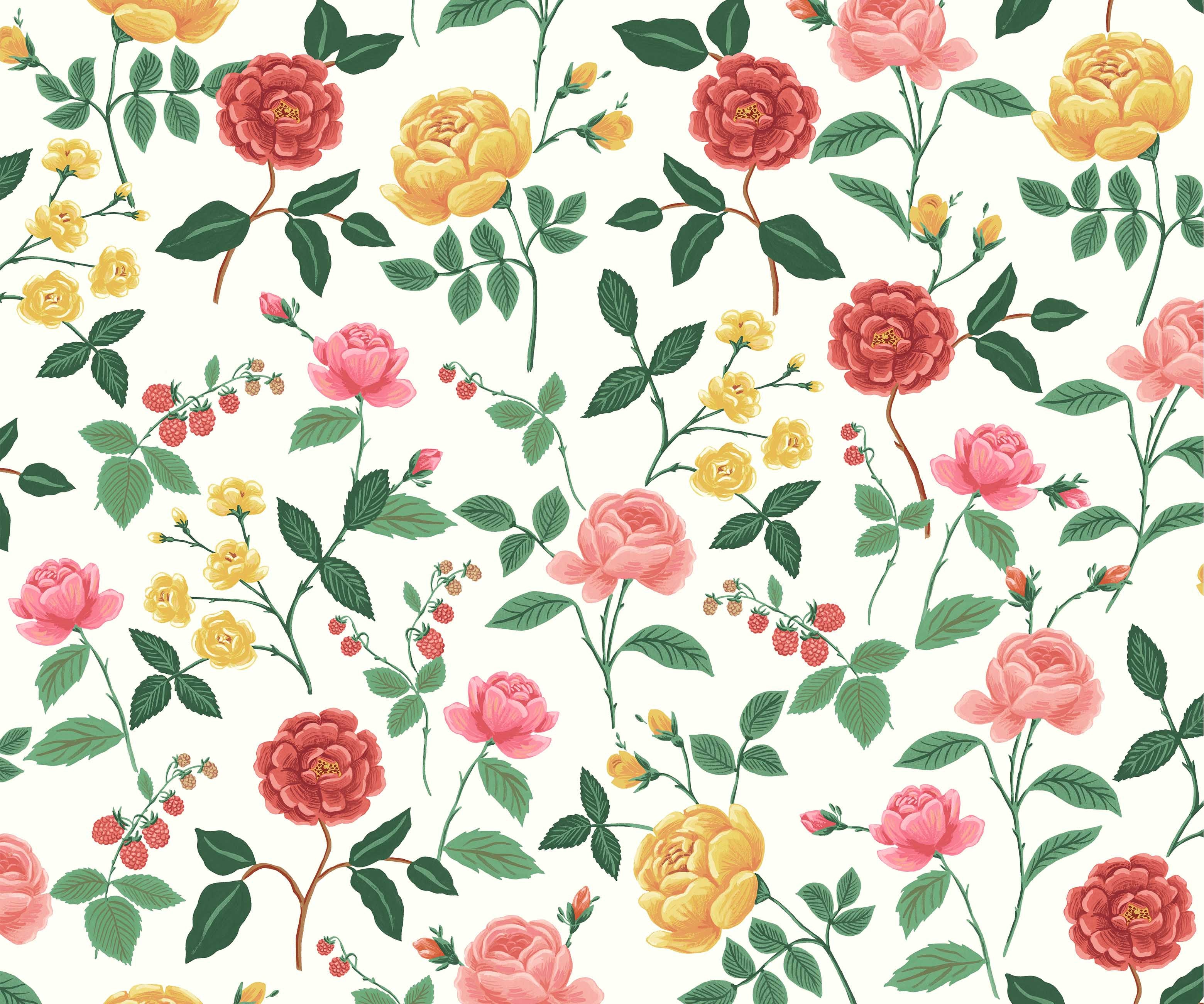 Roses Wallpaper - White & Blush - Image 2