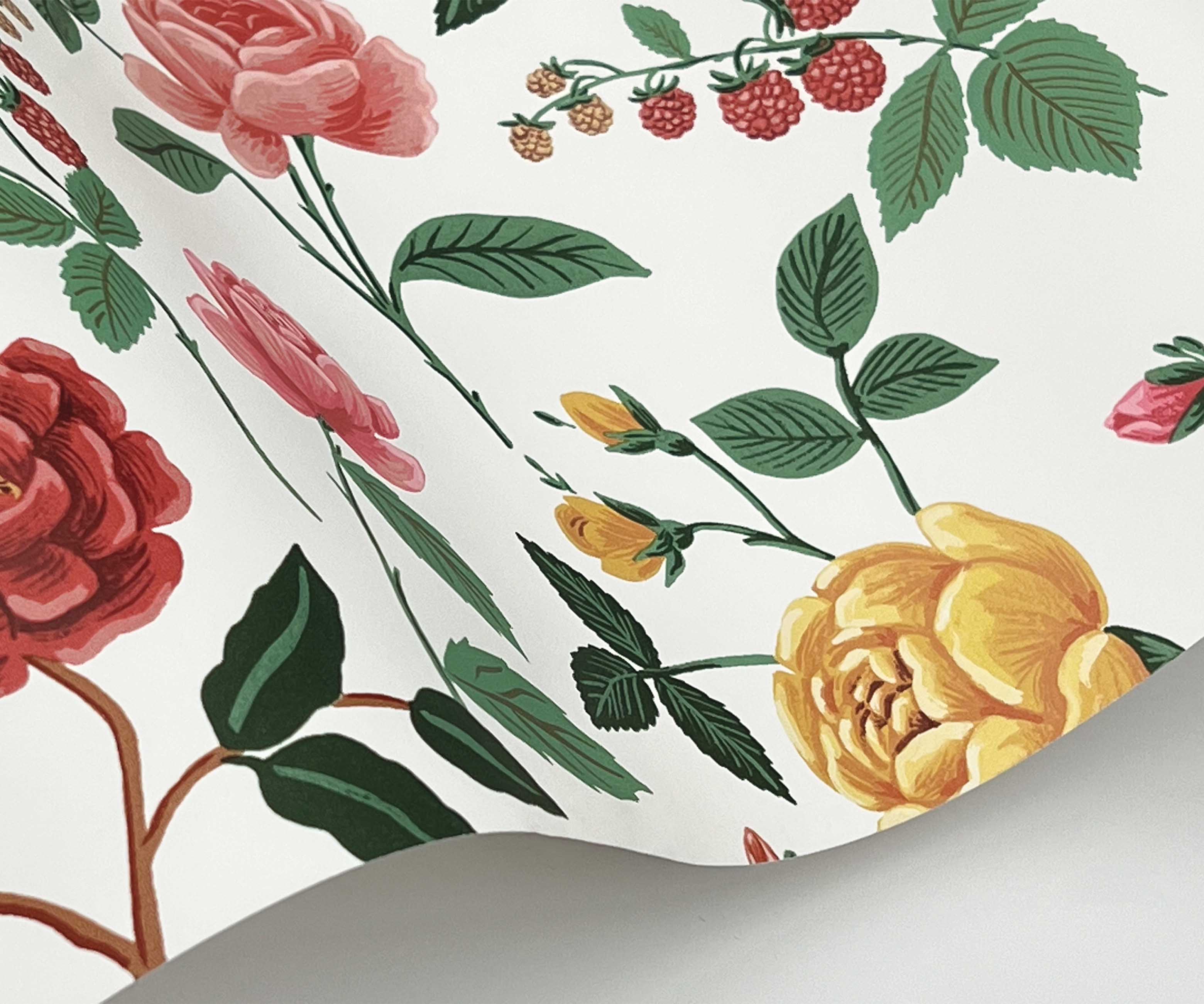 Roses Wallpaper - White & Blush - Image 3