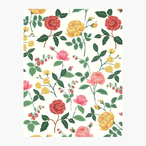 Roses Wallpaper Sample - White & Blush