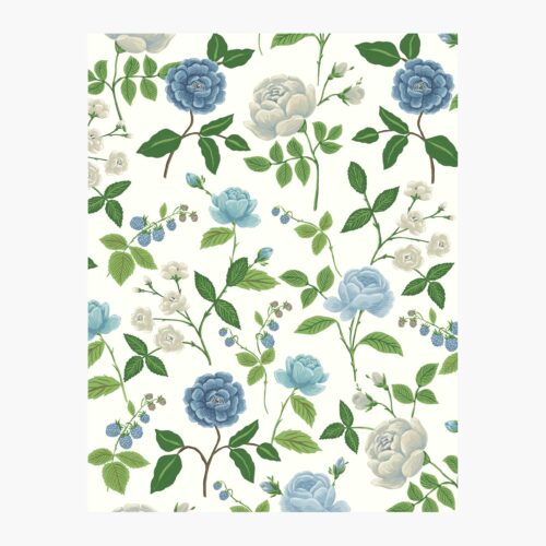 Roses Wallpaper Sample - White & Blue