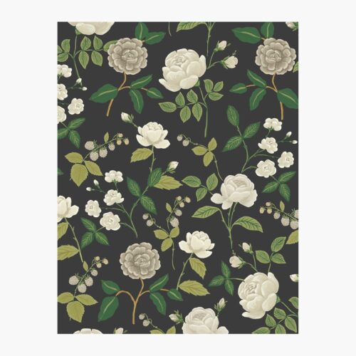 Roses Wallpaper Sample - Black