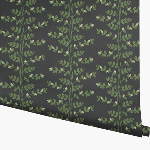 Climbing Vines Wallpaper - Black