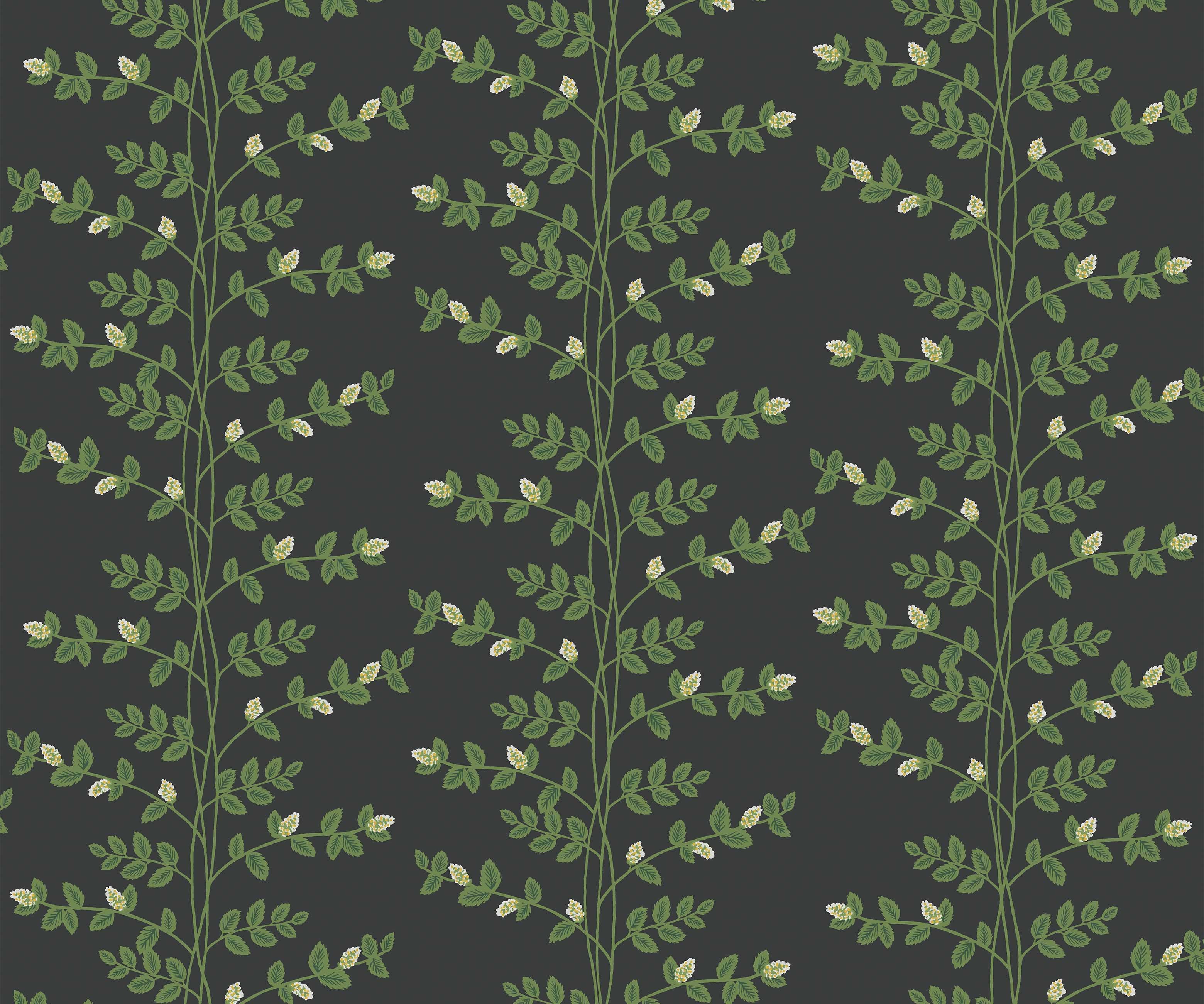 Climbing Vines Wallpaper - Black - Image 3