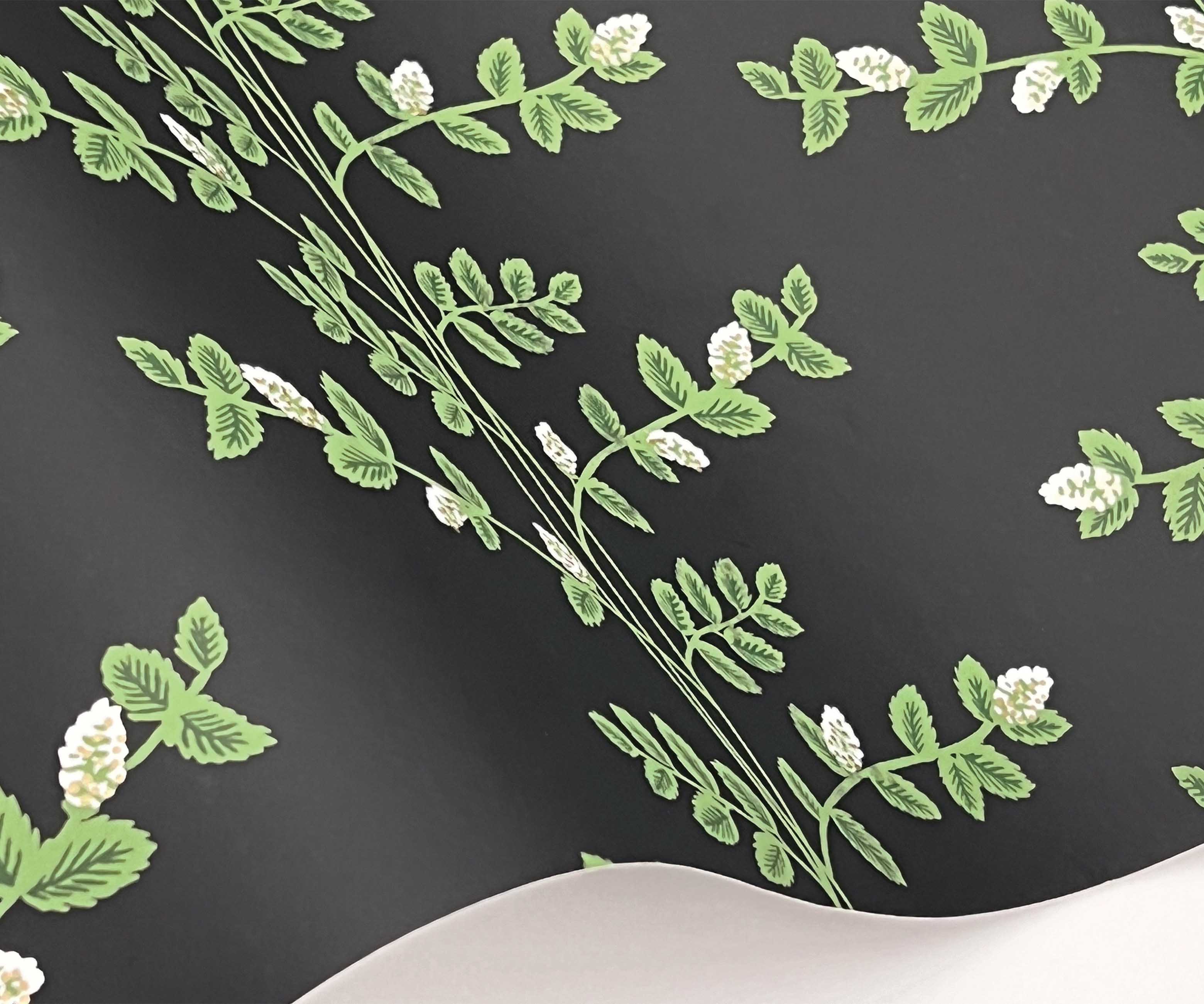 Climbing Vines Wallpaper Sample - Black - Image 2
