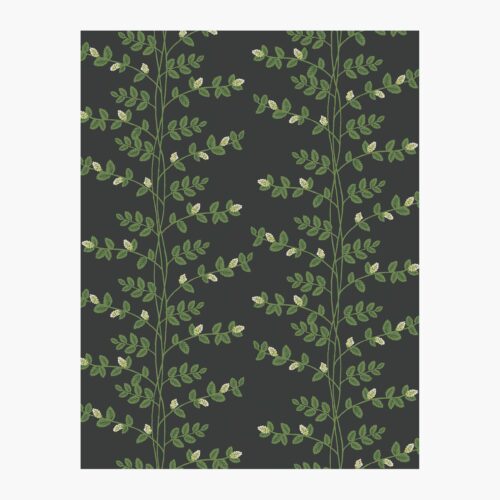 Climbing Vines Wallpaper Sample - Black