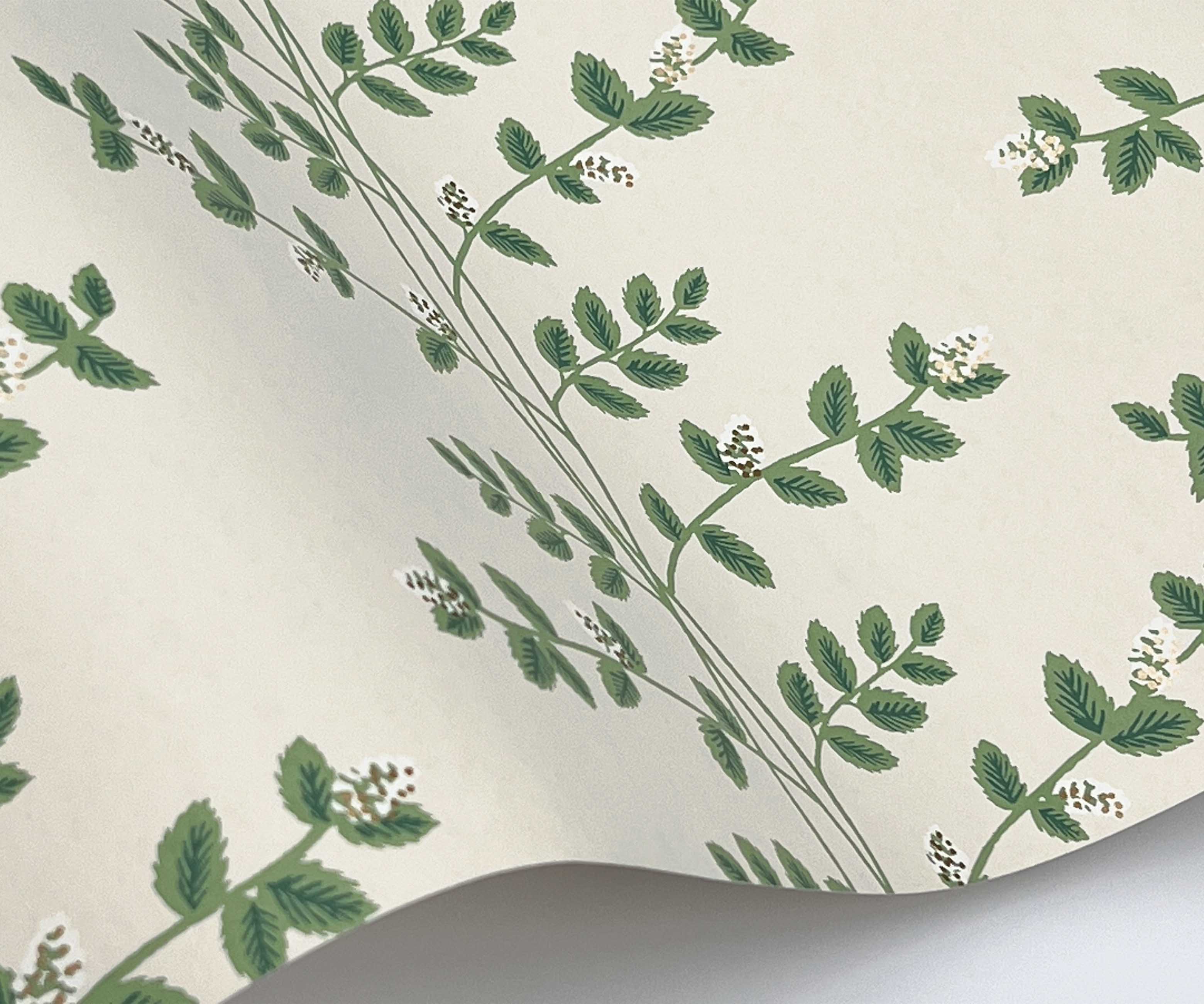 Climbing Vines Wallpaper Sample - Linen - Image 2