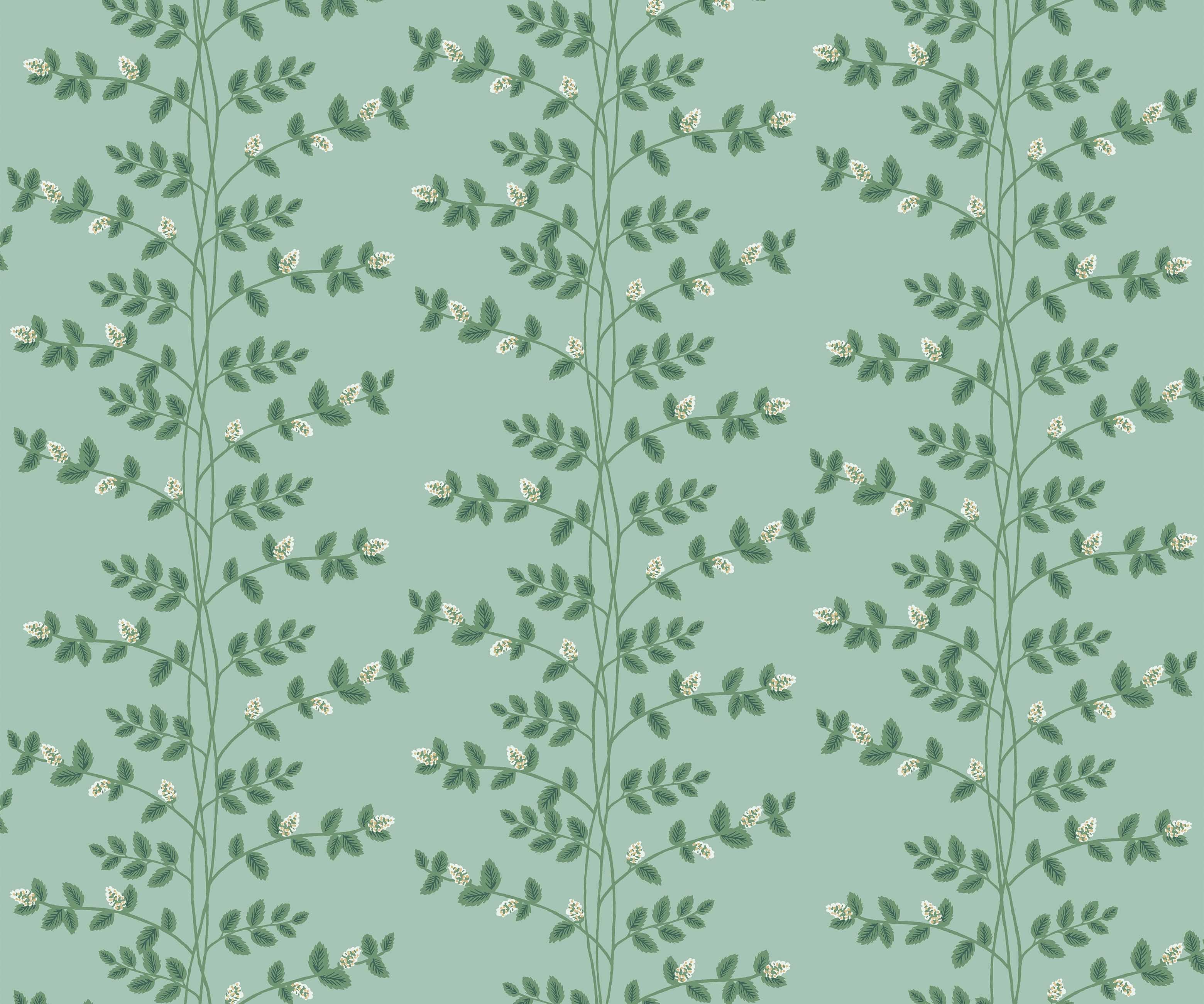 Climbing Vines Wallpaper - Teal - Image 3