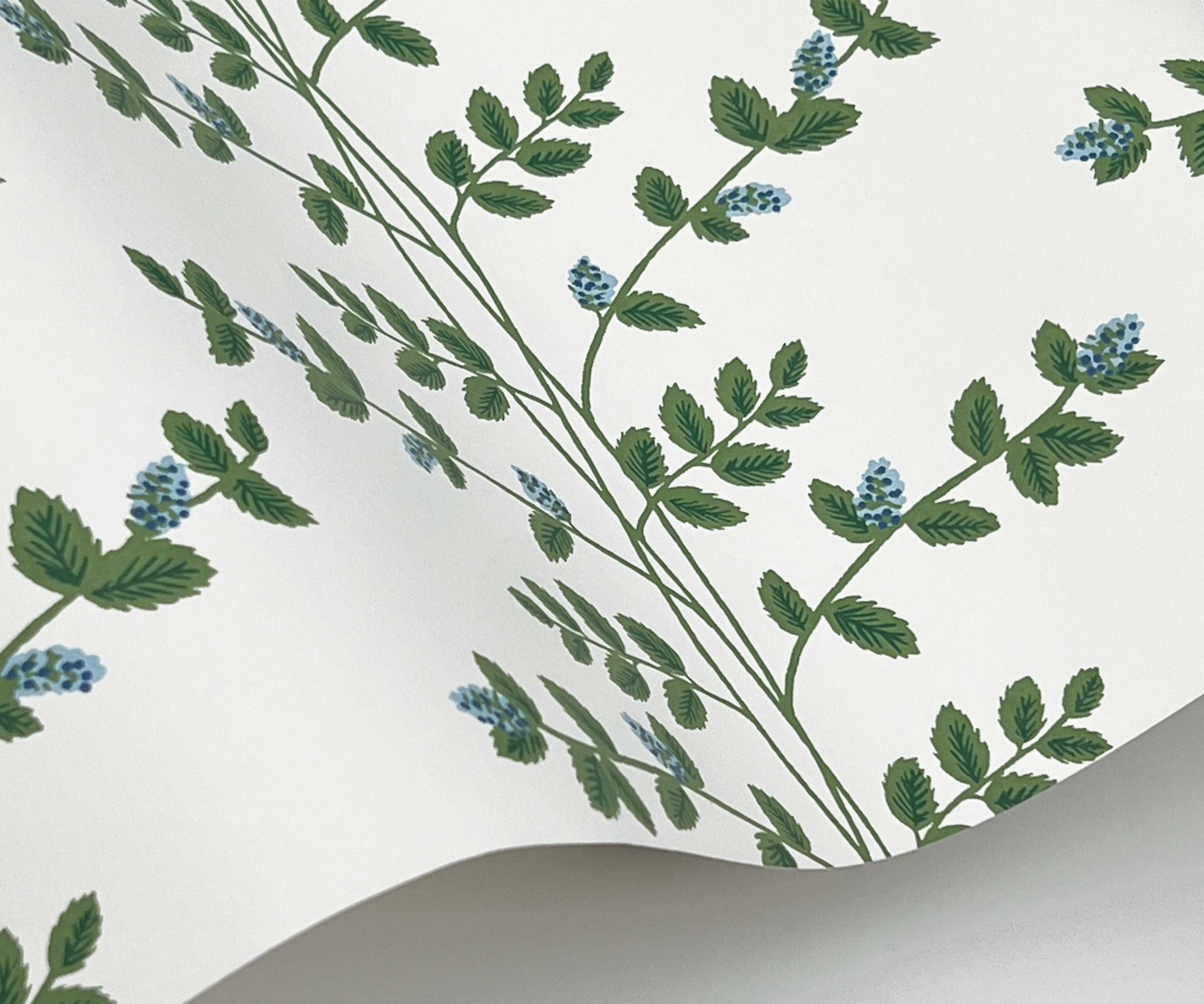 Climbing Vines Wallpaper Sample - White & Blue - Image 2