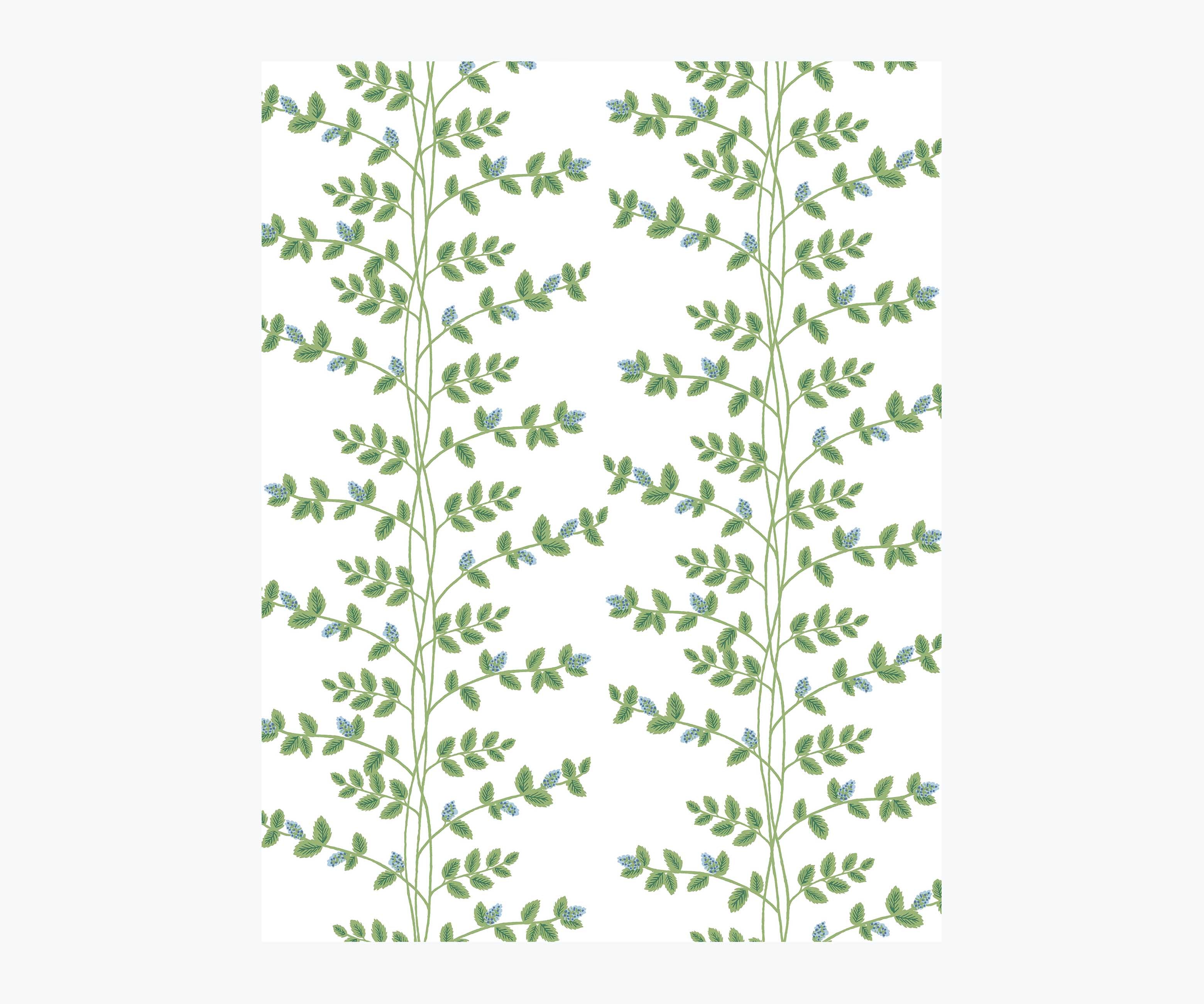 Climbing Vines Wallpaper Sample - White & Blue