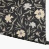 Aster Wallpaper - Black