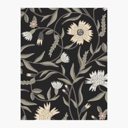 Aster Wallpaper Sample - Black