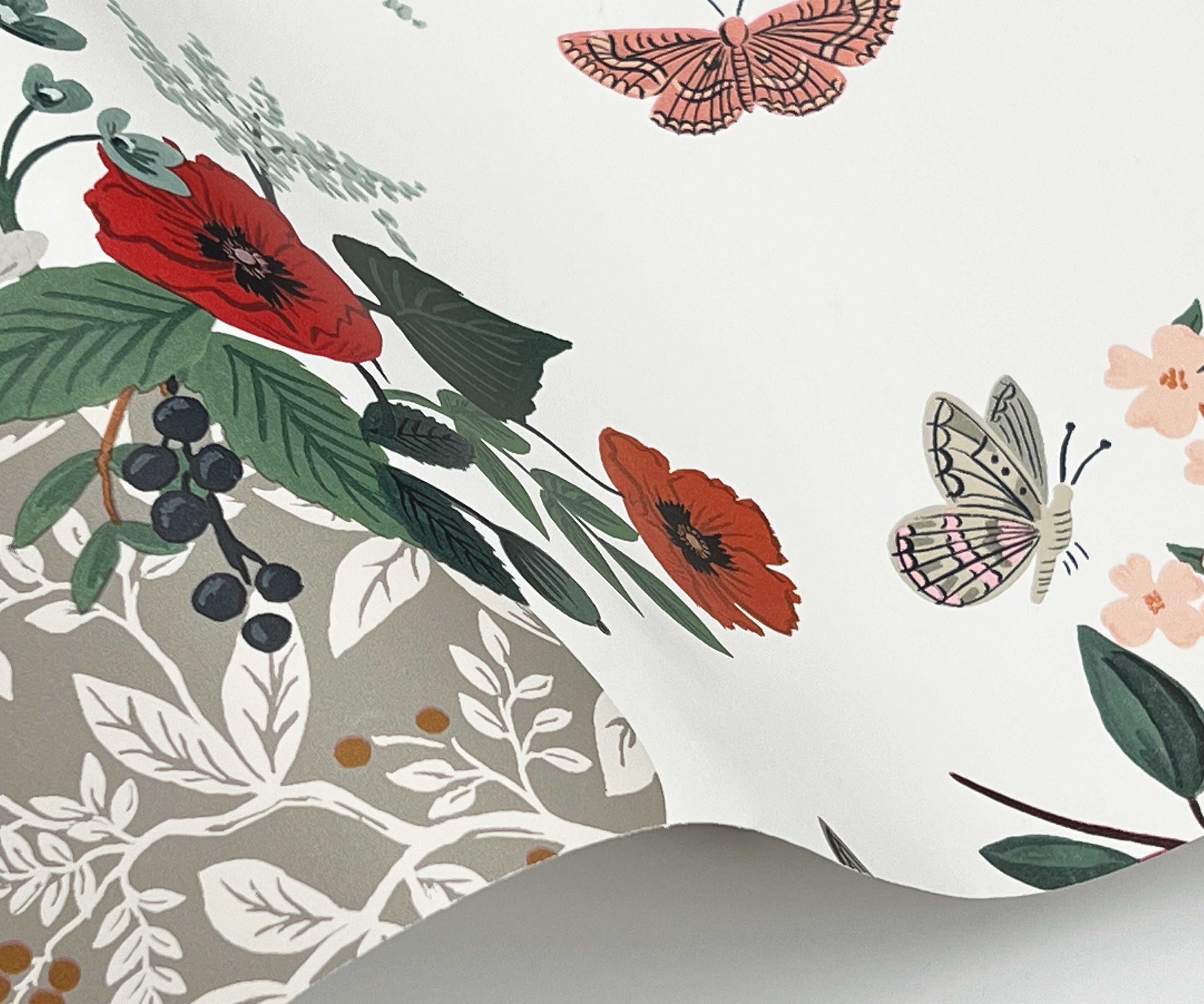 Flower Studies Wallpaper - Rose Multi - Image 3