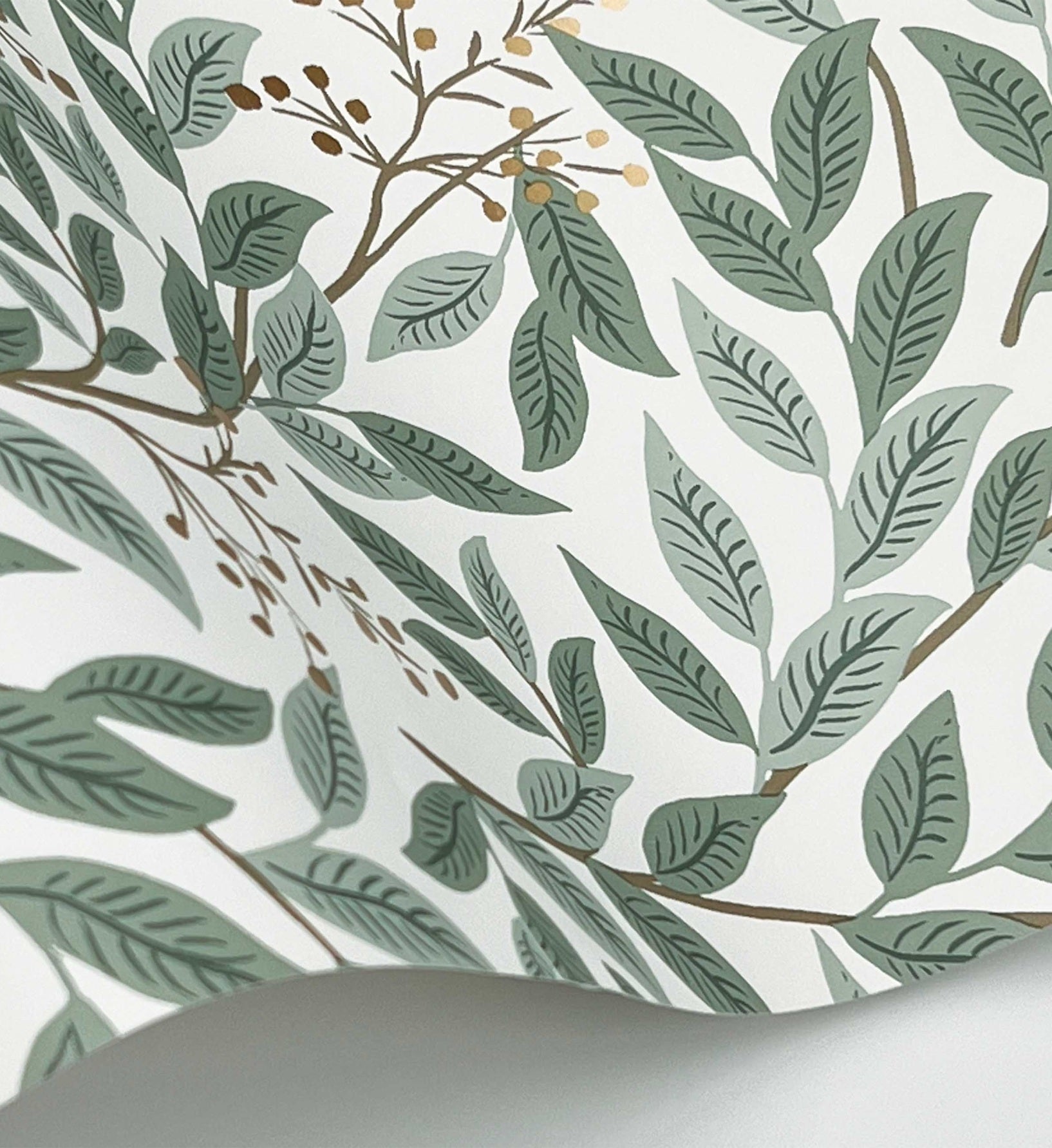 Willowberry Wallpaper - Sage & White - Image 3