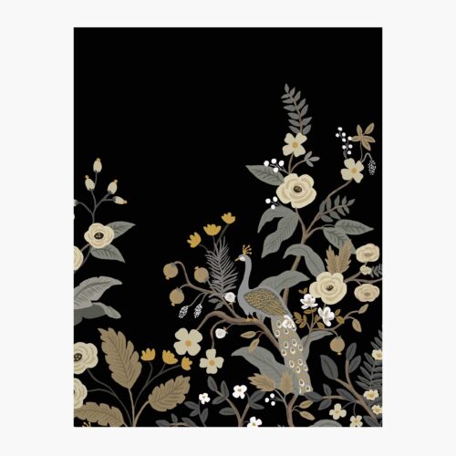 Peacock Wallpaper Mural Sample - Black