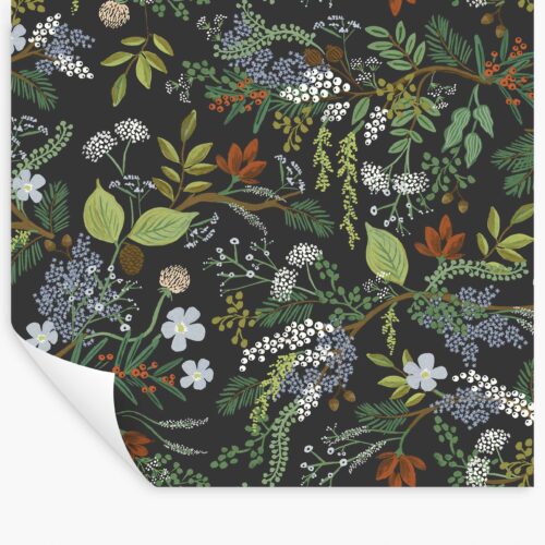 Juniper Forest Peel & Stick Wallpaper - Black
