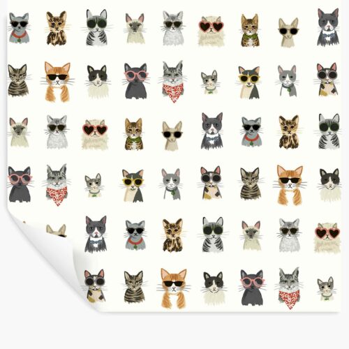 Cool Cats Peel & Stick Wallpaper - White Multi