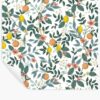 Citrus Grove Peel & Stick Wallpaper - White