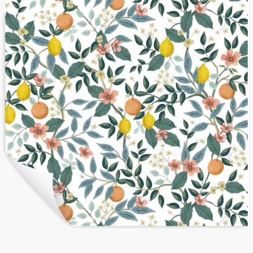 Citrus Grove Peel & Stick Wallpaper - White