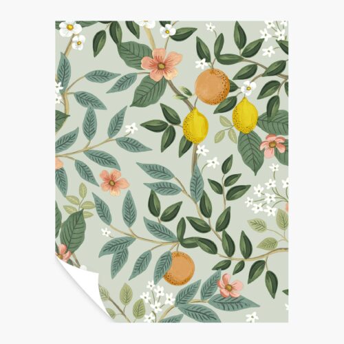 Citrus Grove Peel & Stick Wallpaper Sample - Mint