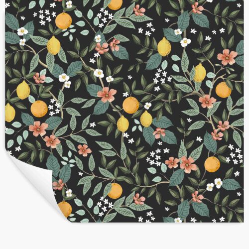 Citrus Grove Peel & Stick Wallpaper - Black
