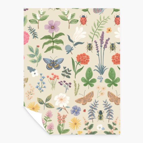 Curio Peel & Stick Wallpaper Sample - Cream